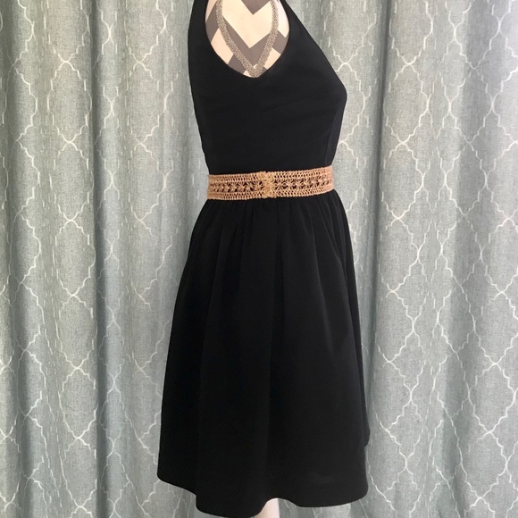 Lotus Grace Black Dress with Gold Waist Detail - Picture 6 of 8